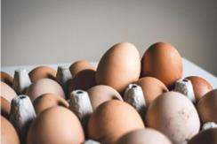 uovo; egg; paniere;