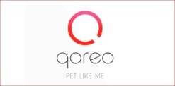 Qareo; Logo;