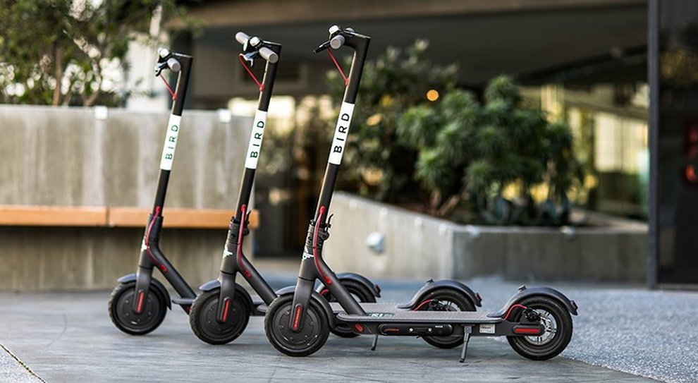 Bird; Sharing Economy;