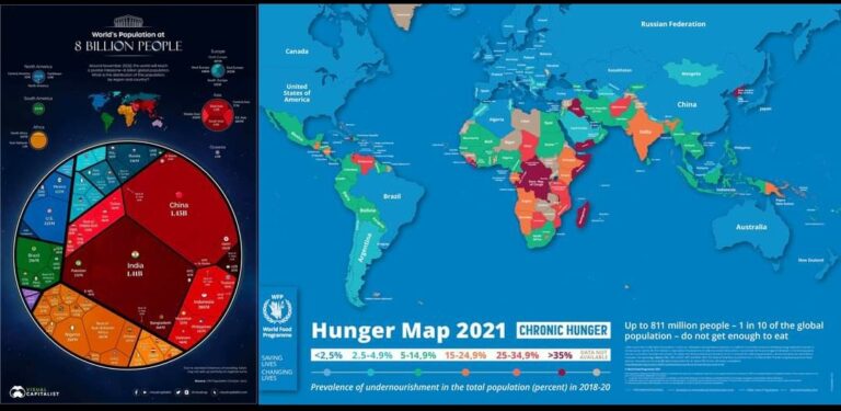 Mappa della fame nel mondo 2021 e popolazione mondiale a 8 miliardi
