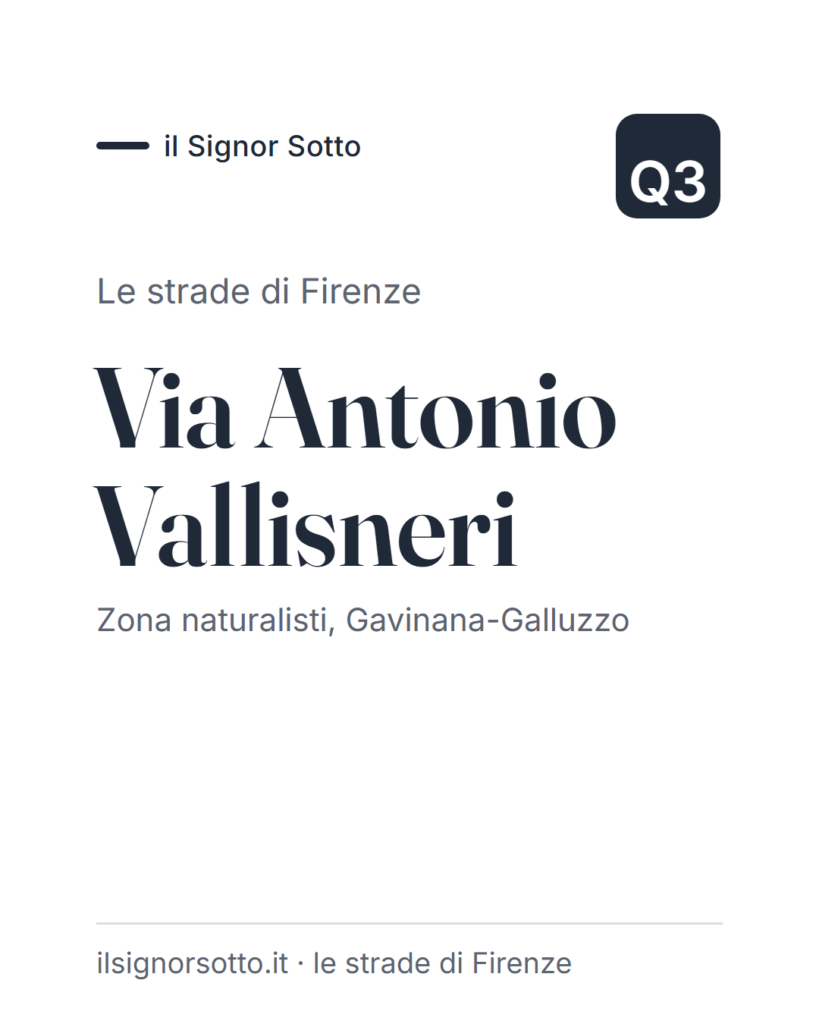 Via Antonio Vallisneri, Quartiere 3 Firenze
