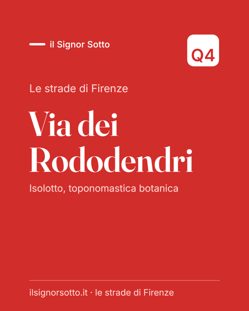 Via dei Rododendri, Quartiere 4 Firenze
