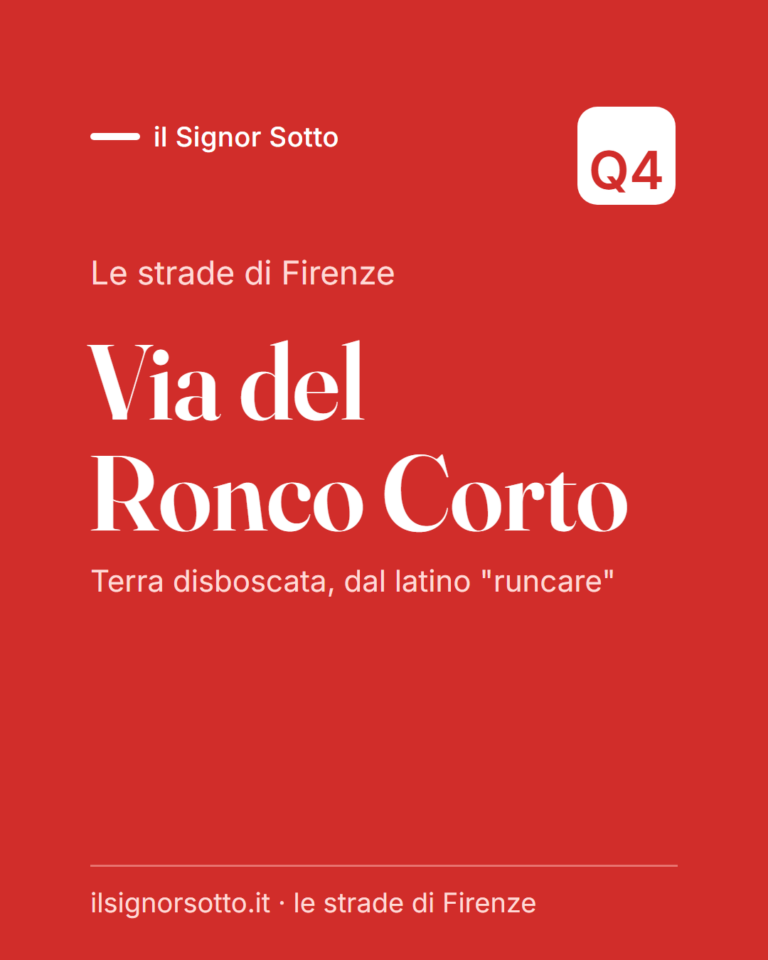 Via del Ronco Corto, Quartiere 4 Firenze