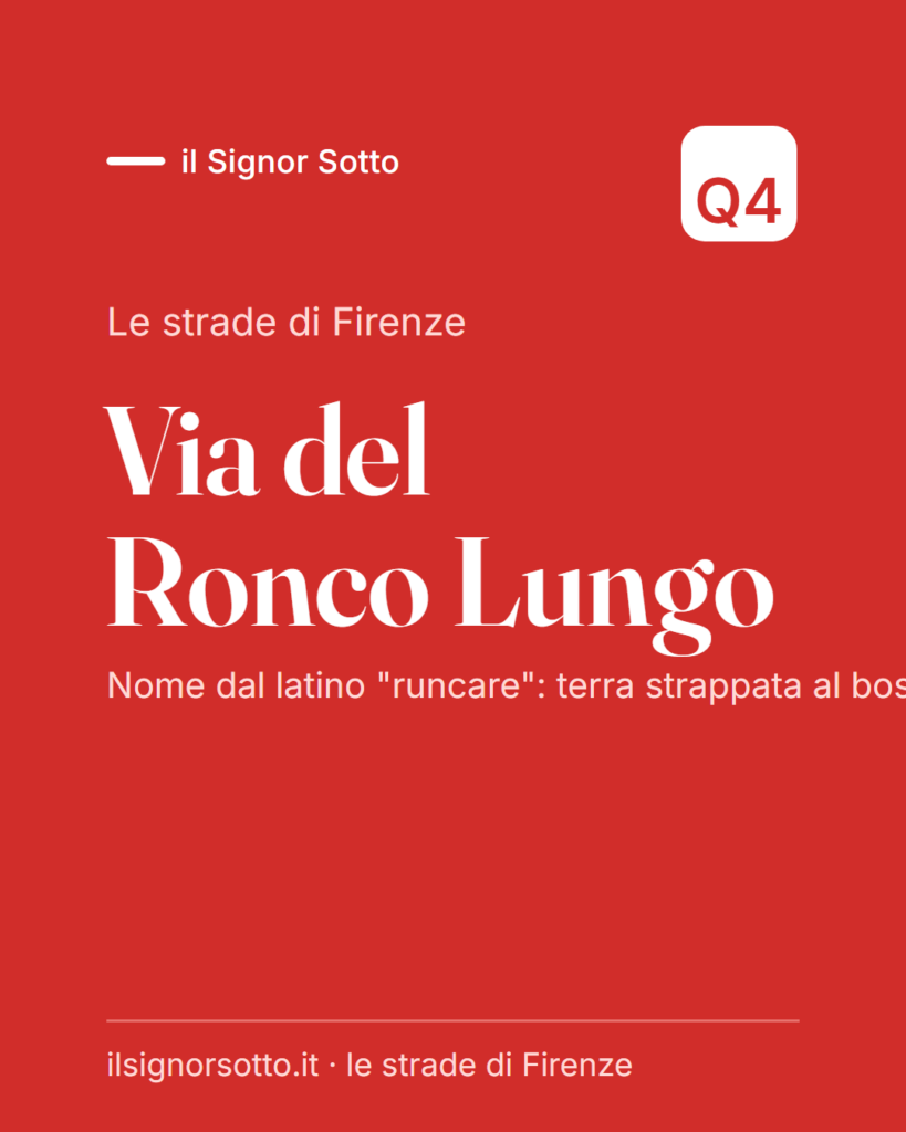 Via del Ronco Lungo, Quartiere 4 Firenze