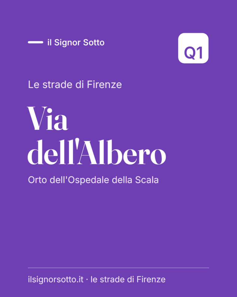 Via dell’Albero, Quartiere 1 Firenze