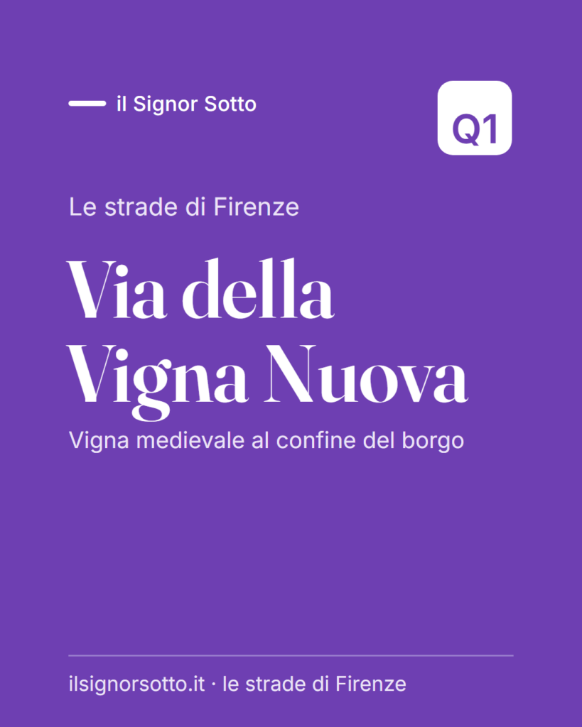 Via della Vigna Nuova, Quartiere 1 Firenze