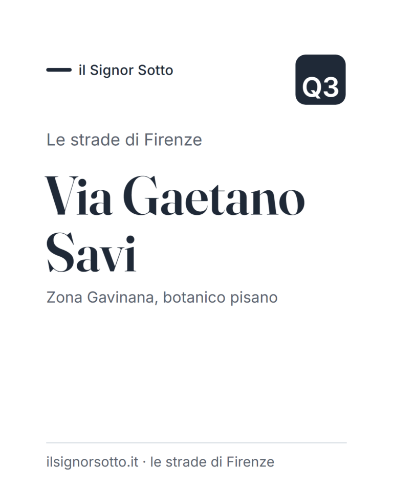 Via Gaetano Savi, Quartiere 3 Firenze