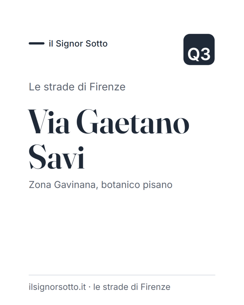 Via Gaetano Savi, Quartiere 3 Firenze