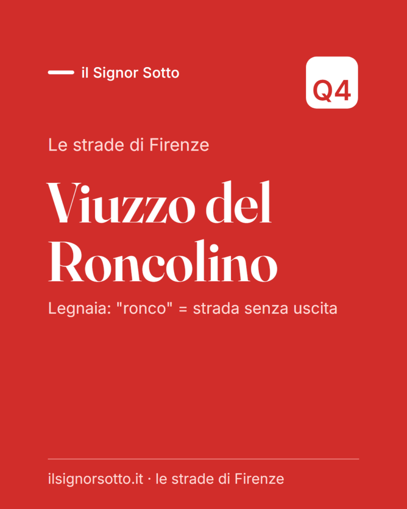 Viuzzo del Roncolino, Quartiere 4 Firenze